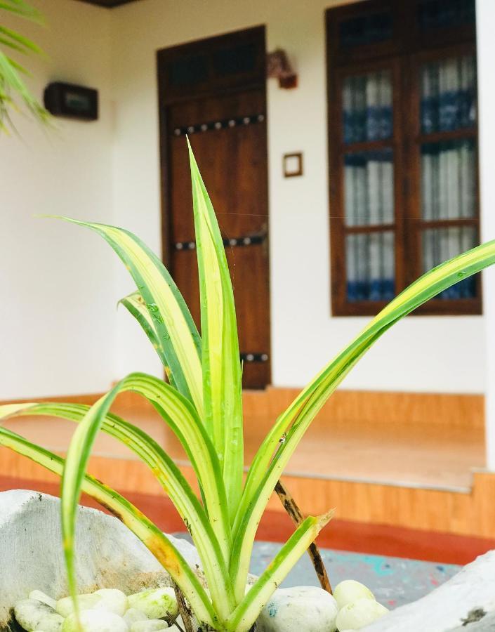 Lake Wind Habarana Ngoại thất bức ảnh