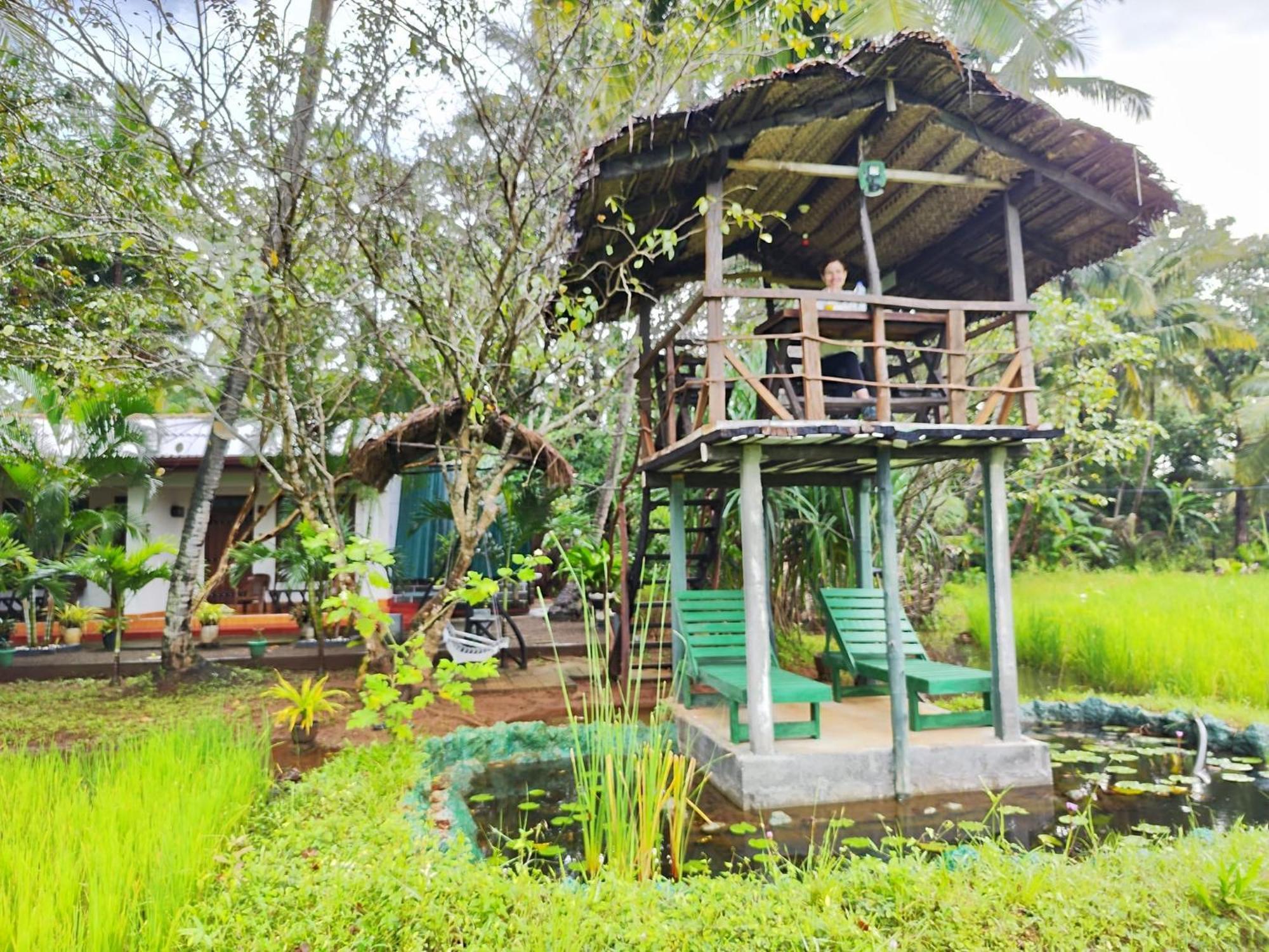 Lake Wind Habarana Ngoại thất bức ảnh